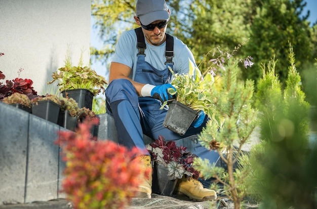 gardener-selecting-proper-plants-newly-developed-garden_1426-7733