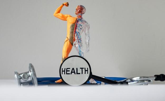health-text-photo-with-healthy-human-body-model_361816-3255